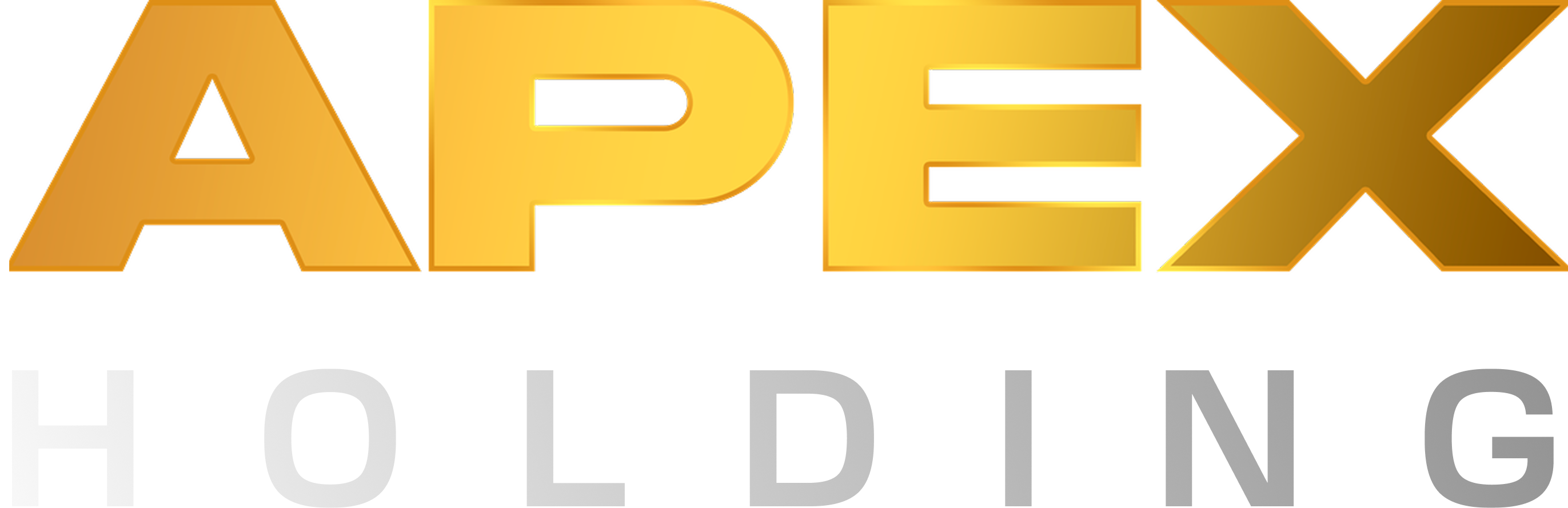 APEX Holding